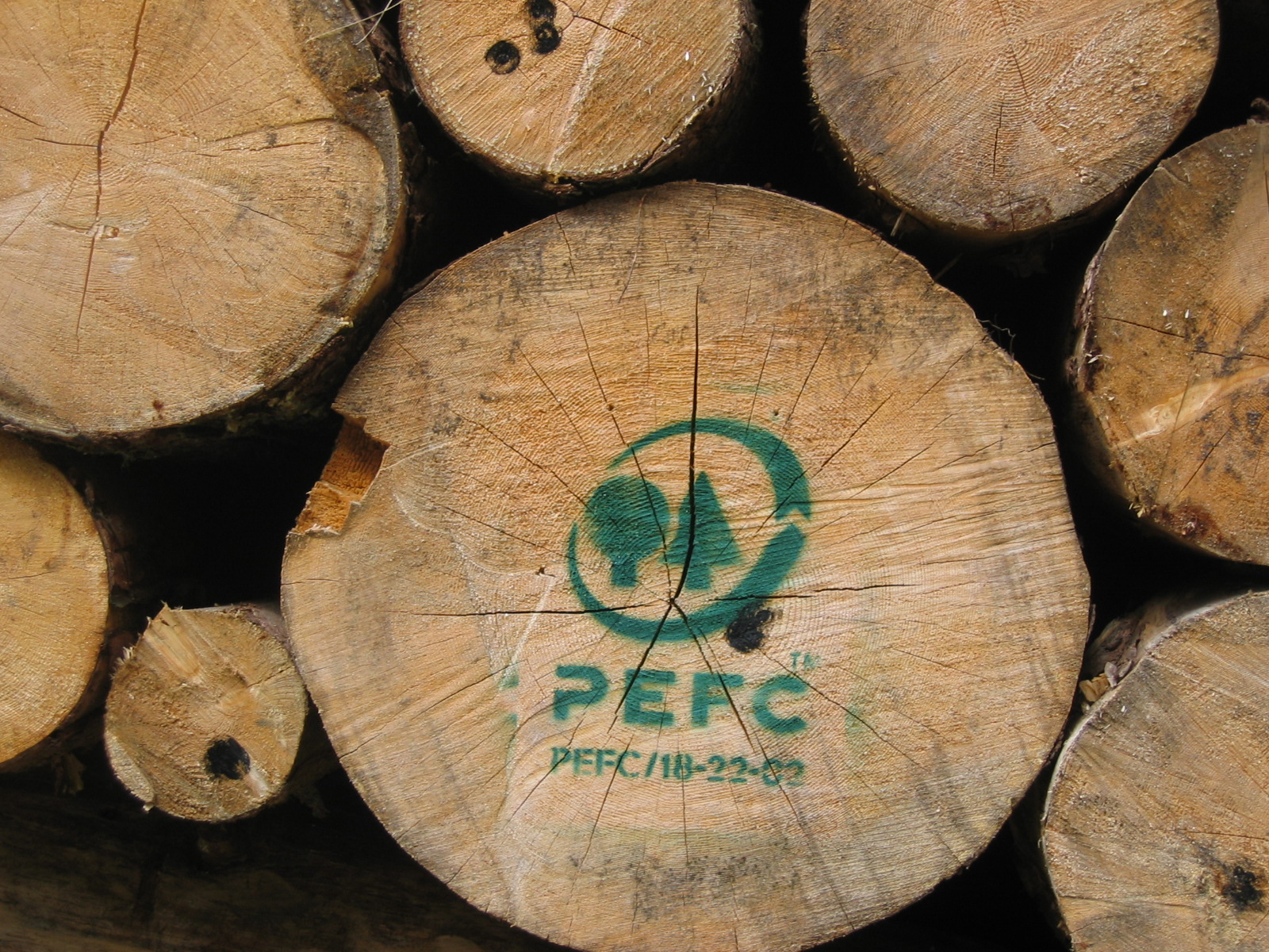 Auch die heimische Waldwirtschaft setzt mit PEFC auf eine nachhaltige Holzproduktion.